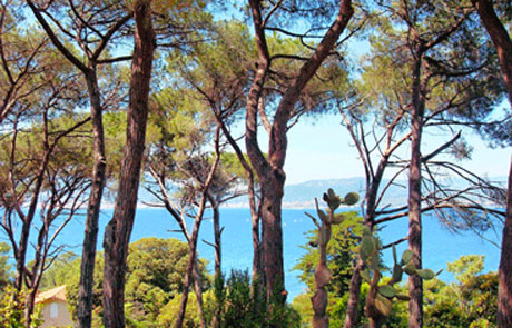 Conseil en orientation scolaire à Ajaccio