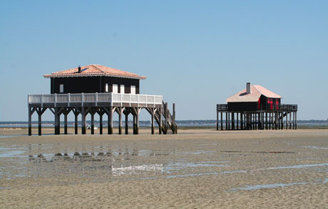 Conseil en orientation scolaire à Arcachon