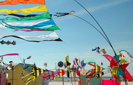 Conseil en orientation à Berck