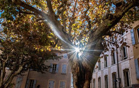 Conseil en orientation scolaire à Manosque