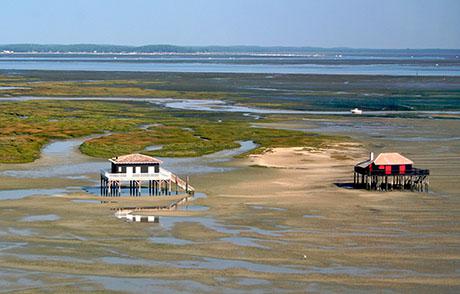 Conseil en orientation scolaire à Arcachon