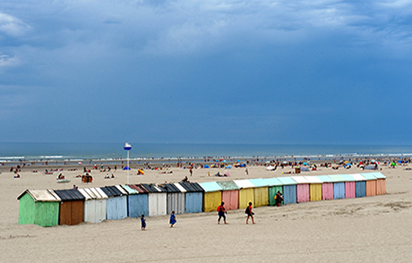 Conseil en orientation scolaire à Berck