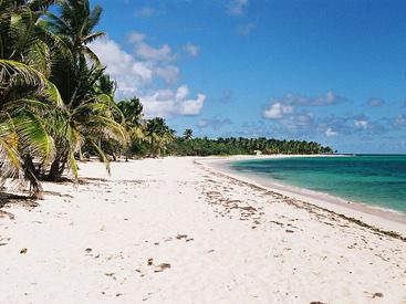 Conseil en orientation scolaire en Guadeloupe