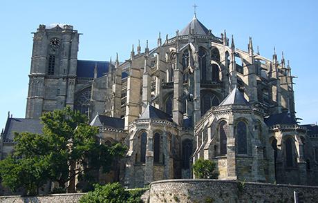 Conseil en orientation scolaire au Mans