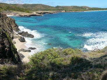 Conseil en orientation scolaire en Martinique