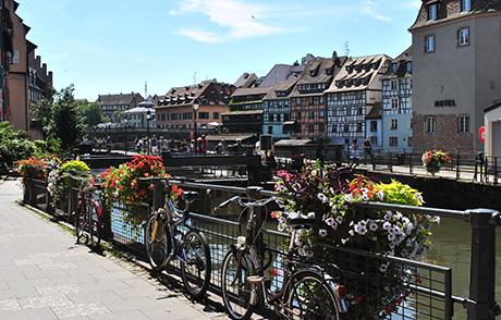 Conseil en orientation scolaire à Strasbourg