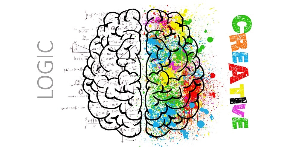 Cerveau créatif et logique