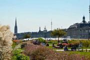 Conseil en orientation scolaire à Bordeaux