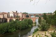 Conseil en orientation scolaire à Albi