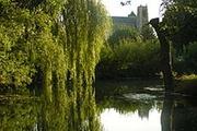 Conseil en orientation scolaire à Bourges