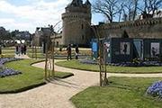 Conseil en orientation scolaire à Vannes