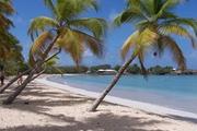 Orientation scolaire en Martinique